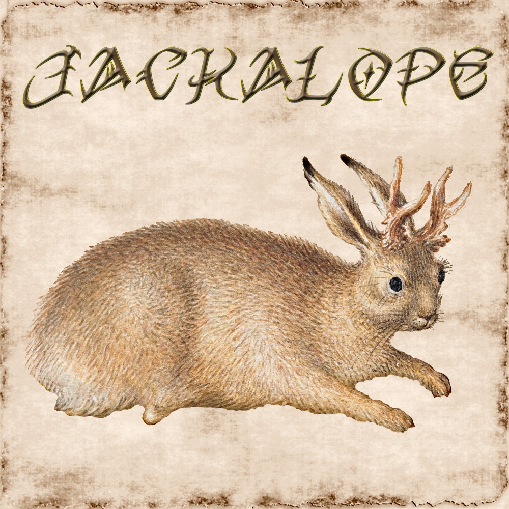 Jackalope BANNER 5e.jpg