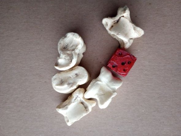 knucklebones.jpg
