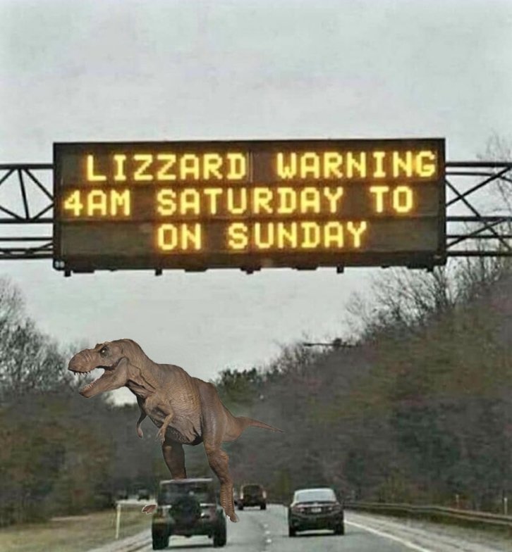 LizzardWarning (1).jpg