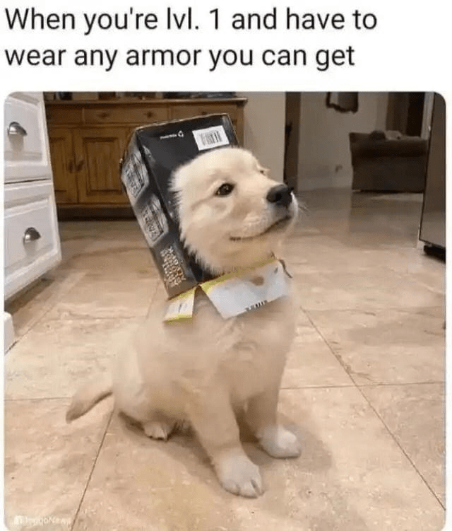 lvl-1-and-have-wear-any-armor-can-get-alegonews-ent.png