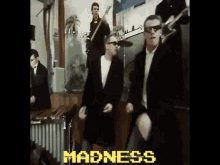 madness-madness-band.gif
