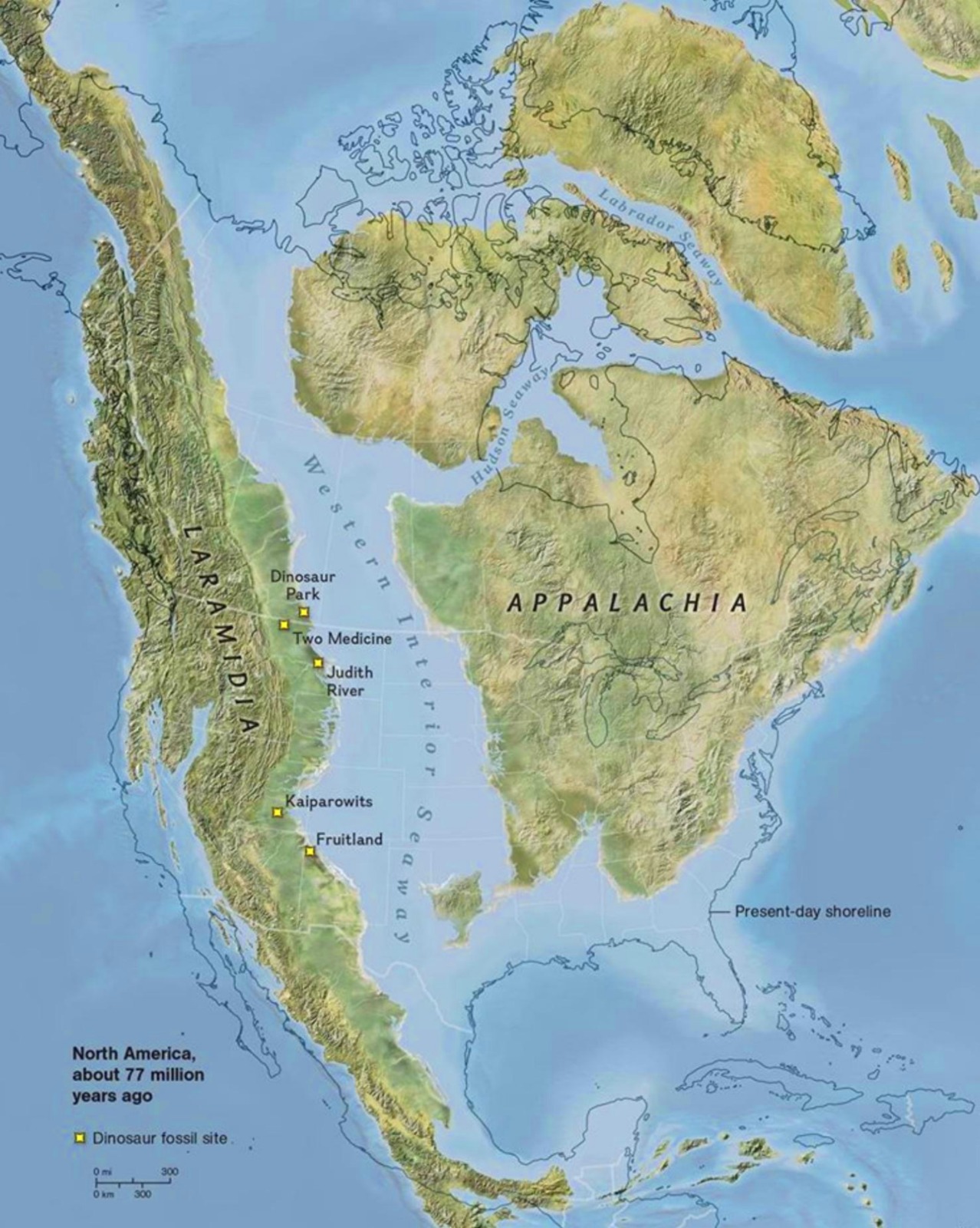 map77.jpg