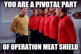 meatshield.jpg