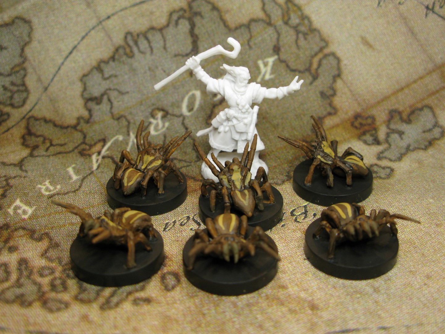 medium spiders(Large).JPG