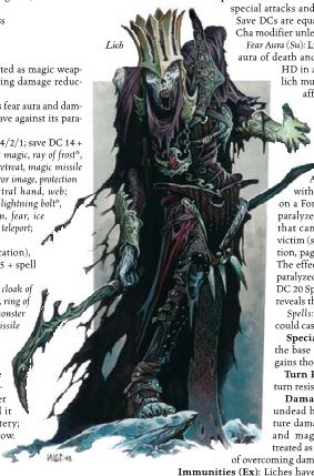 MM_3e_Lich.JPG