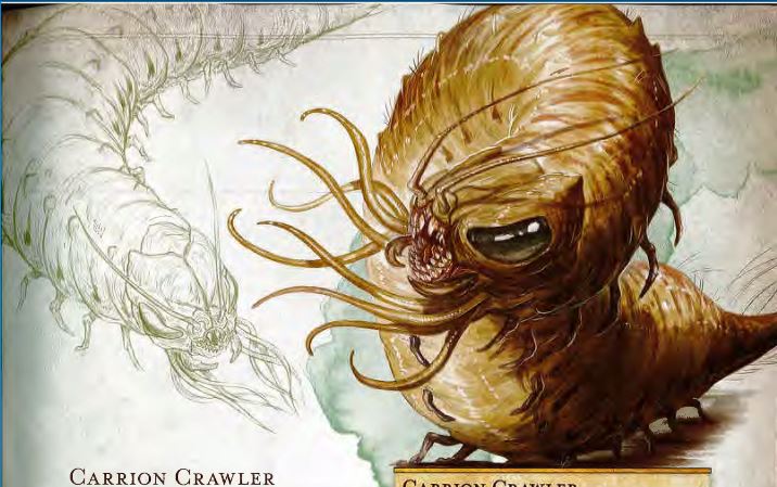 MM_5e_CarrionCrawler.JPG