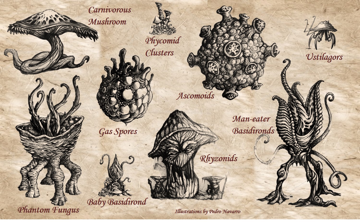 Monstrous Fungi Collection v1.jpg