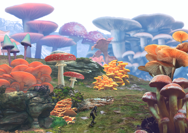 Mushroom Forest - Raphael Benjamin.jpg