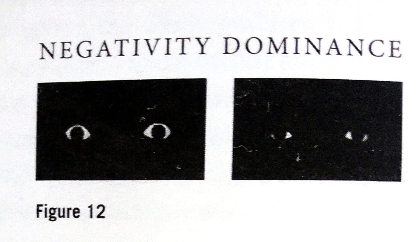 negativity dominance.jpg