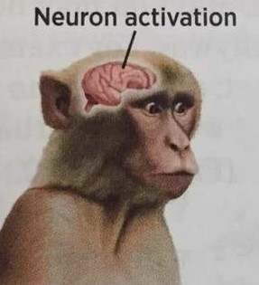 neuron activated.jpg