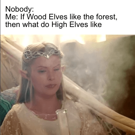nobody-if-wood-elves-like-forest-then-do-high-elves-like.png
