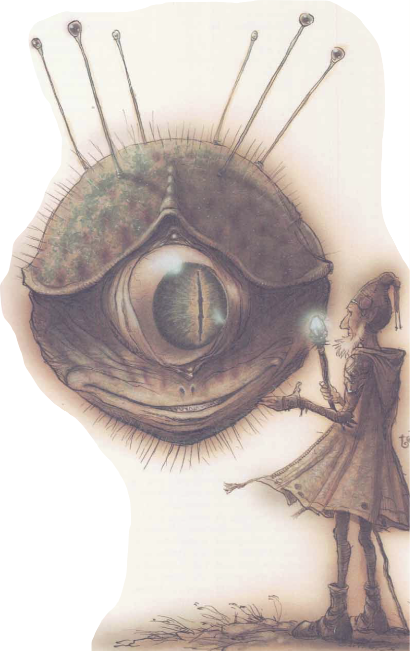 observer.png