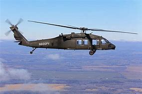 OIP (9).jpg