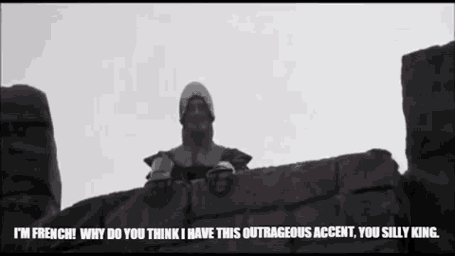 outrageous-french-accent-monty-python.gif