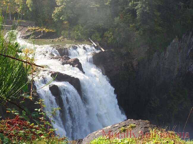PA090003.JPG