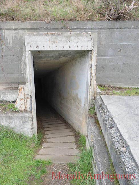 PA190154.JPG