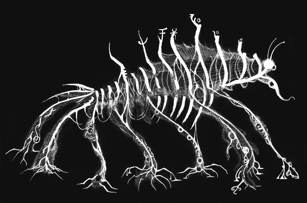 parasite 1.jpeg