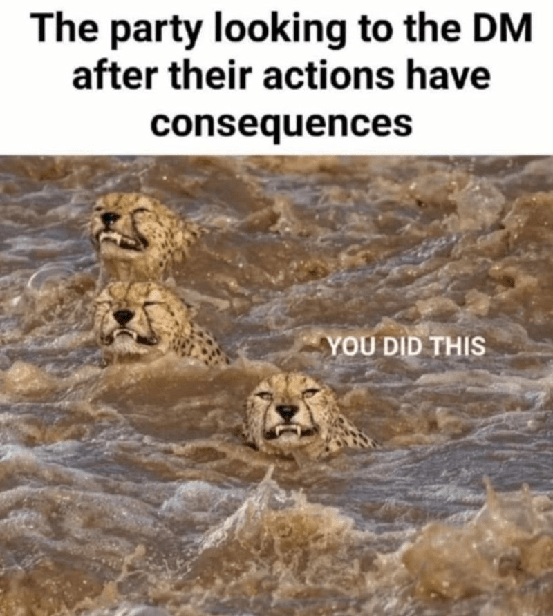 party-looking-dm-after-their-actions-have-consequences-did-this.png