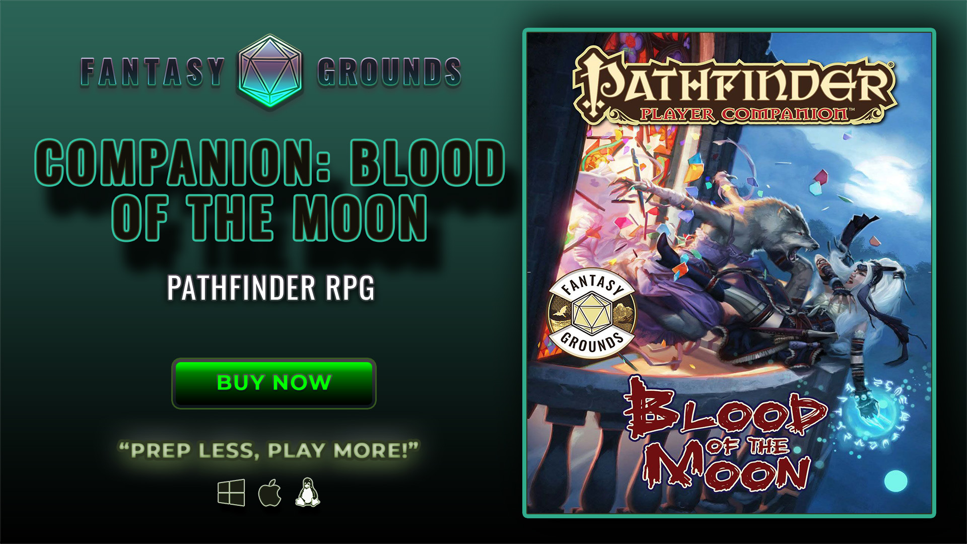 Pathfinder RPG - Pathfinder Companion Blood of the Moon (PZOSMWPZO9439FG).jpg