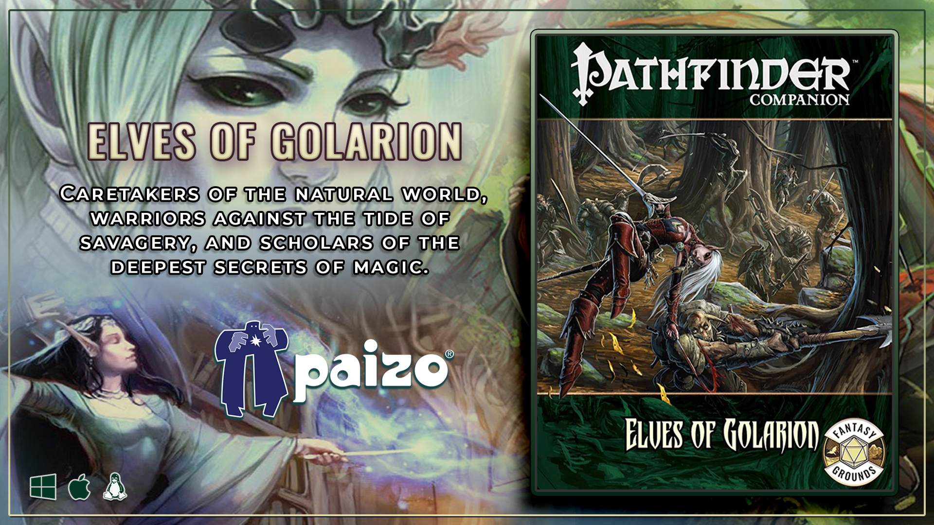 Pathfinder RPG - Pathfinder Companion Elves of Golarion(PZOSMWPZO9402FG).jpg