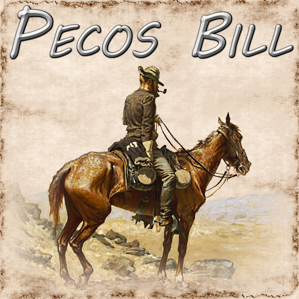Pecos Bill DnD 5E BANNER.jpg