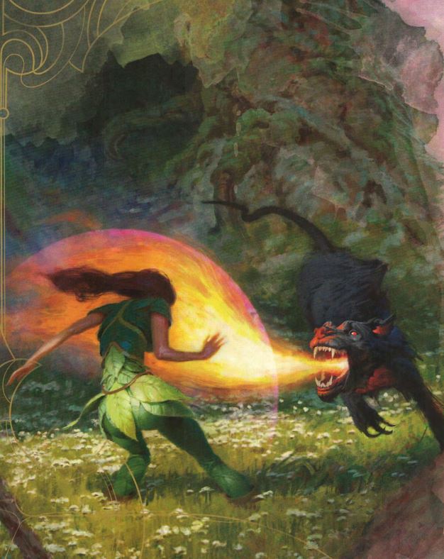 PHB_20.JPG