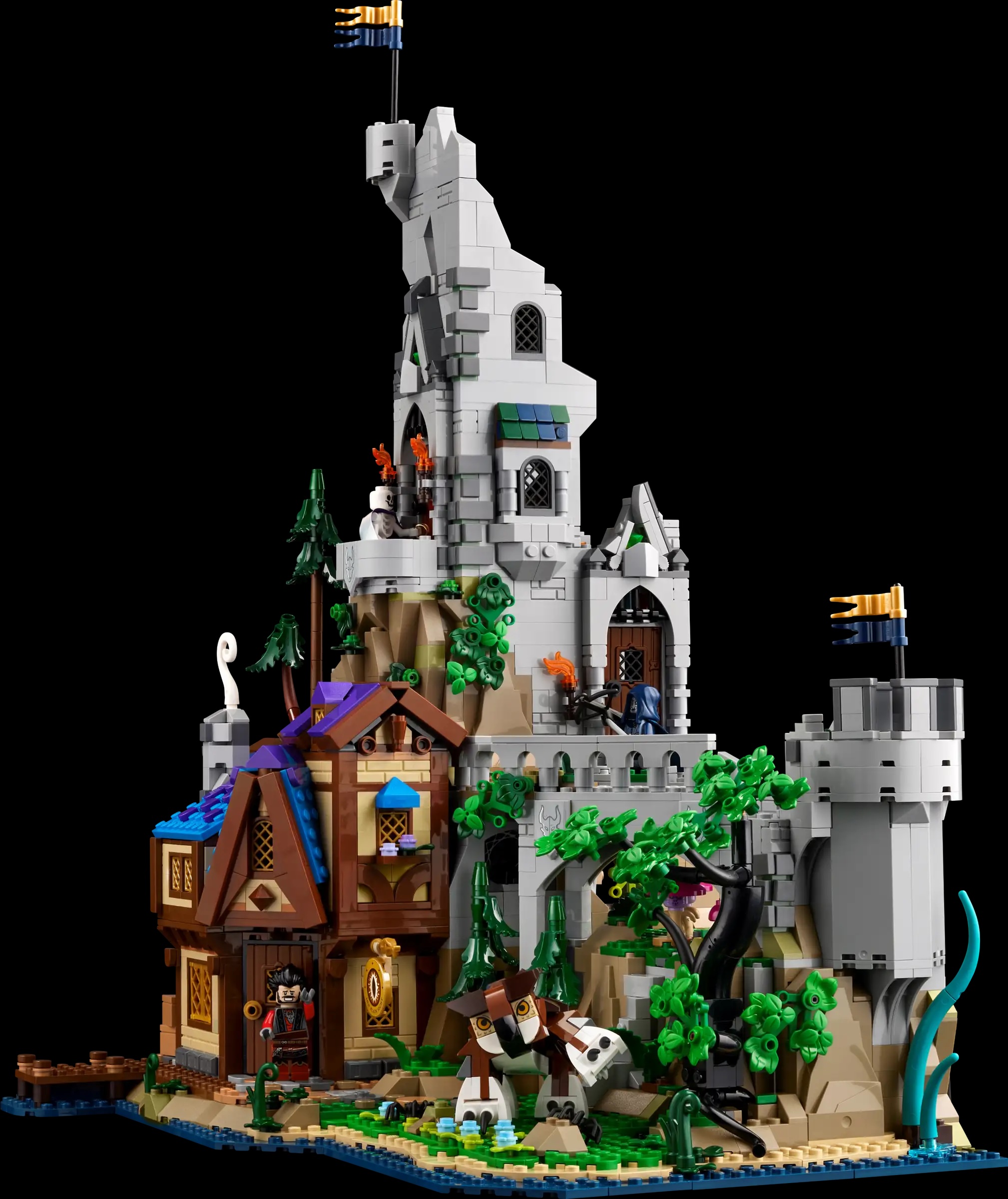 pic 1.jpg