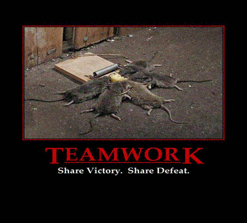 pic12382.gif