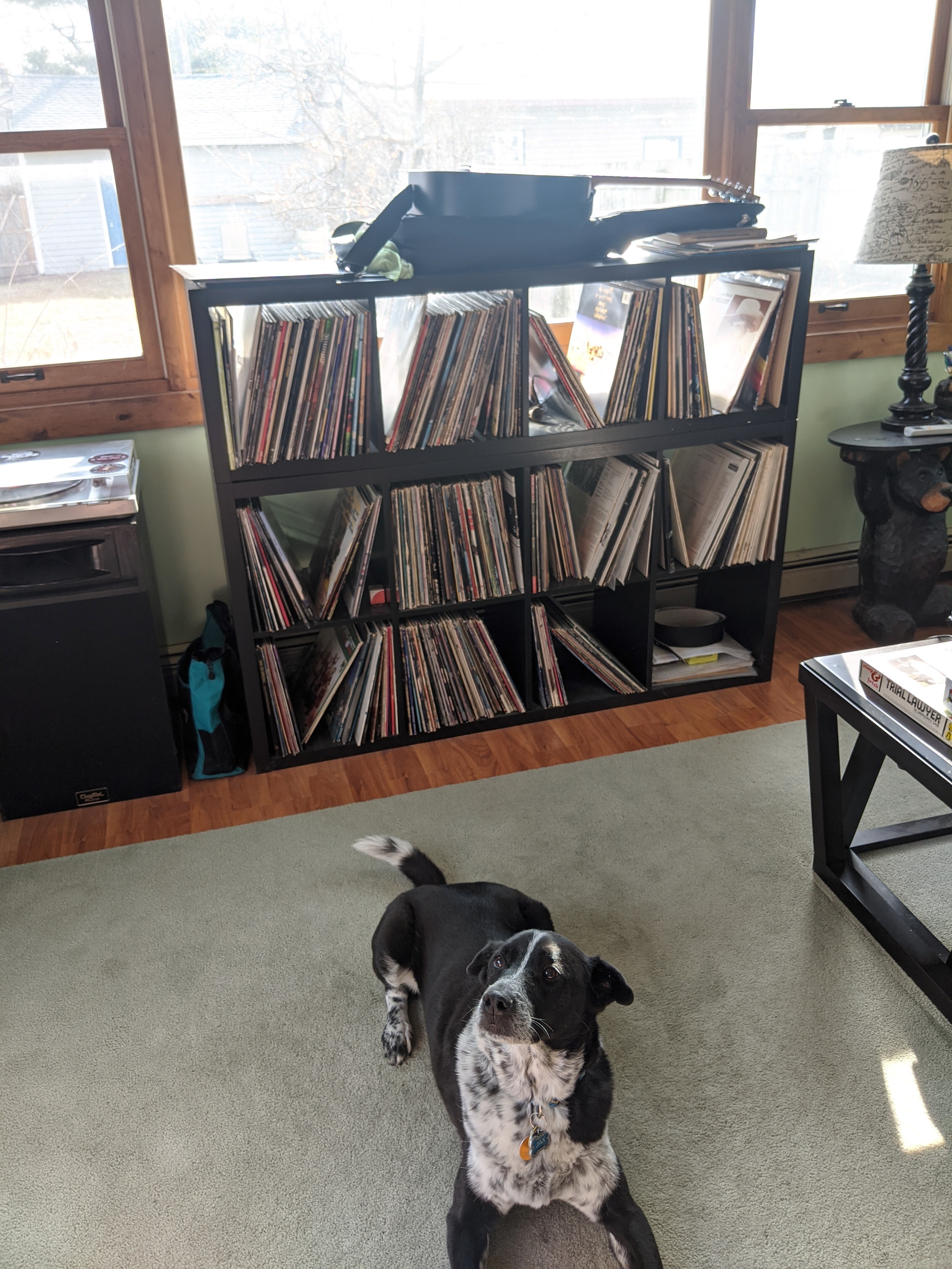 Records.jpg