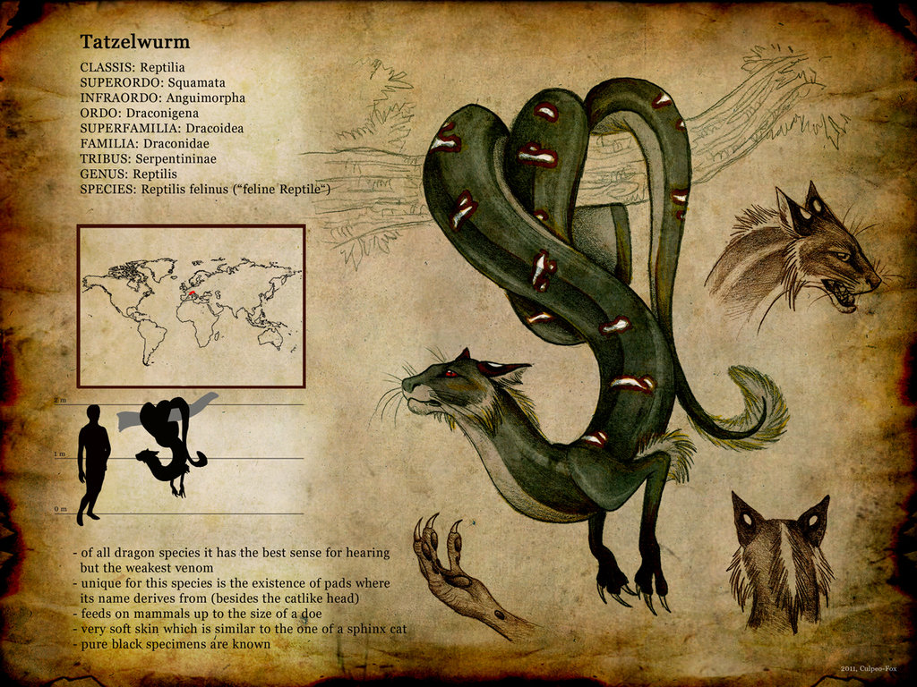 Reptilis_felinus_by_culpeo_fox-d488nzl.jpg
