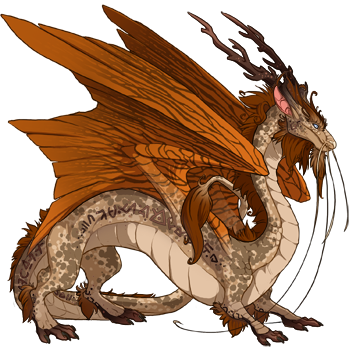 rubiaceae, the pumpkin spice dragon image.png
