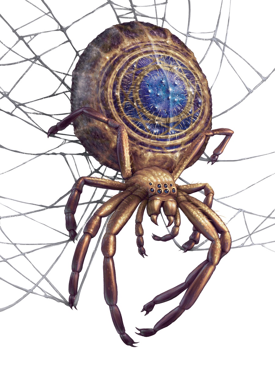 Ruin Spider_Art by Hex Sharpe.jpg