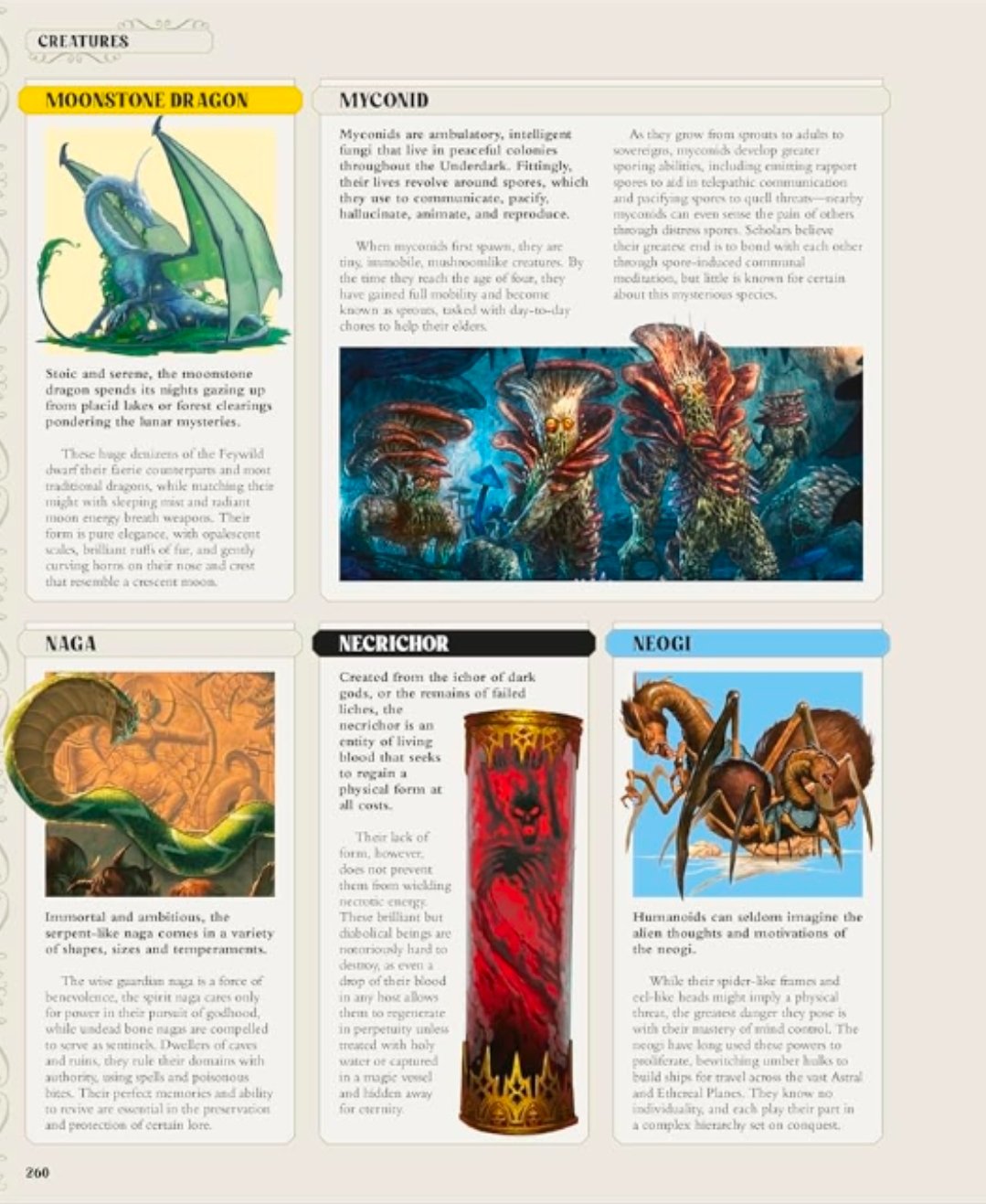 Screenshot_20260315_105831_Amazon Shopping.jpg