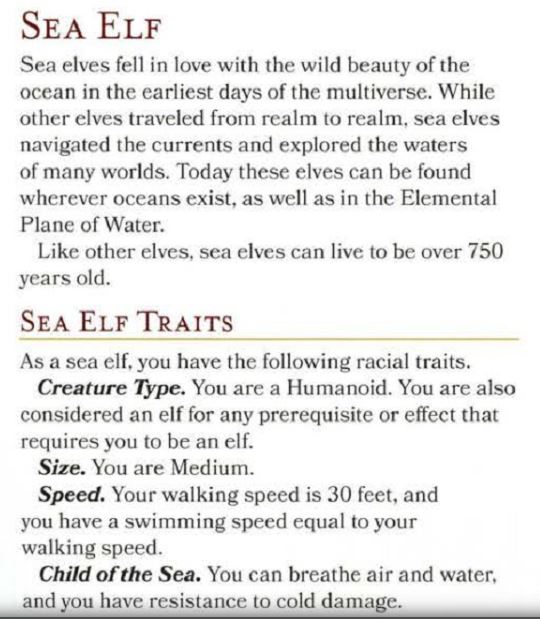 SeaElf.JPG
