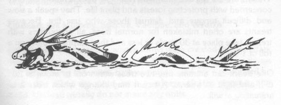 seaserpent.png