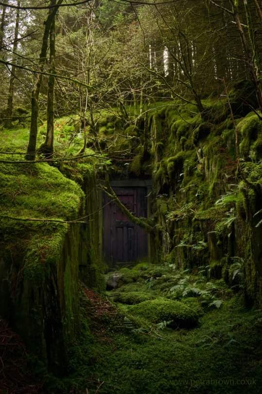 secret place.jpg