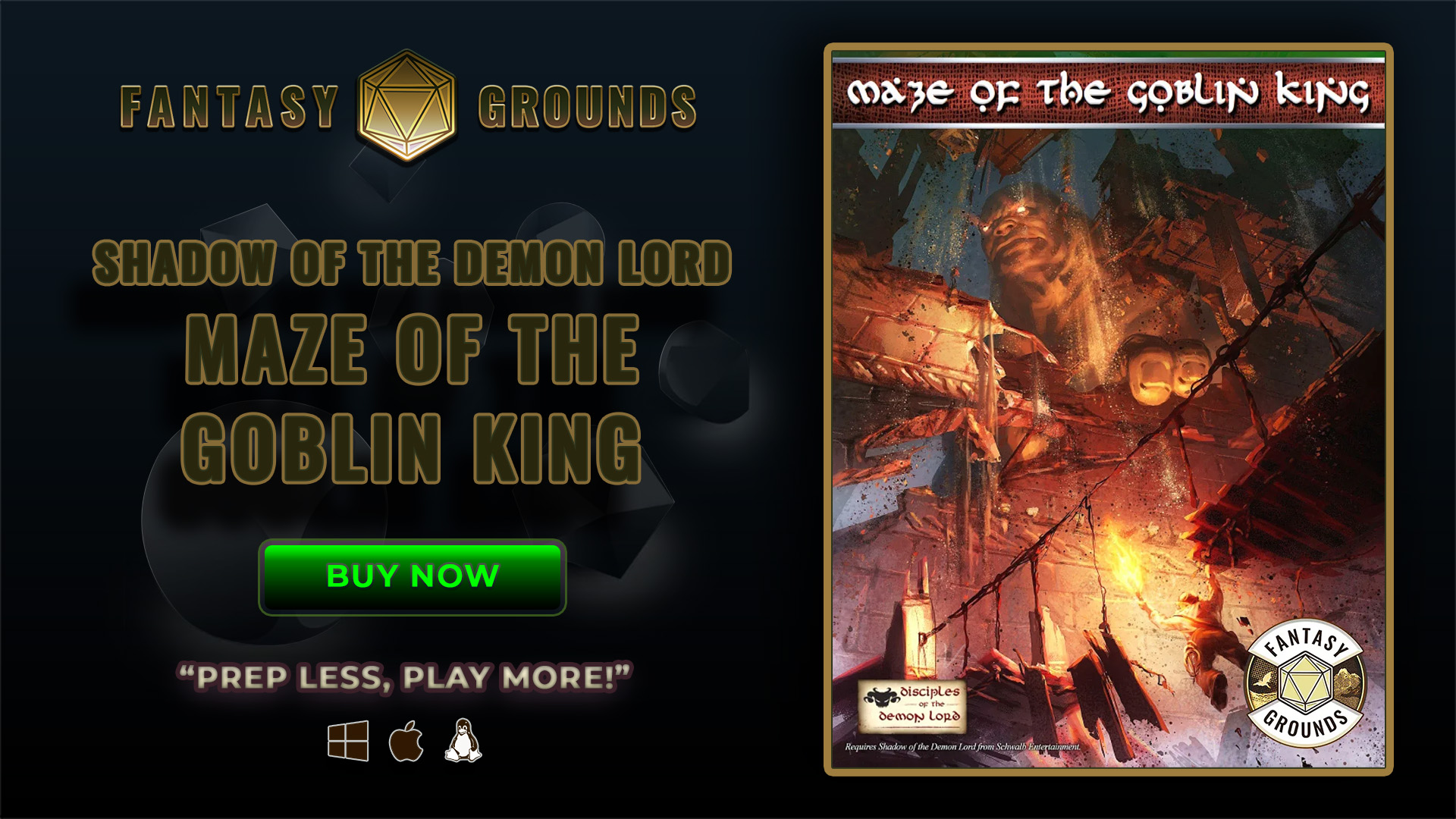 Shadow of the Demon Lord Maze of the Goblin King (IPFGSDLSEMGK).jpg