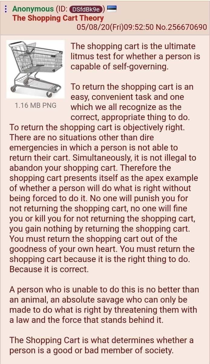shopping cart theory.jpeg
