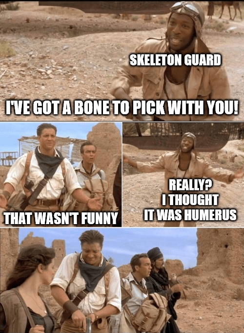 skeleton-guard-got-bone-pick-with-wasnt-funny-really-thought-humerus.png