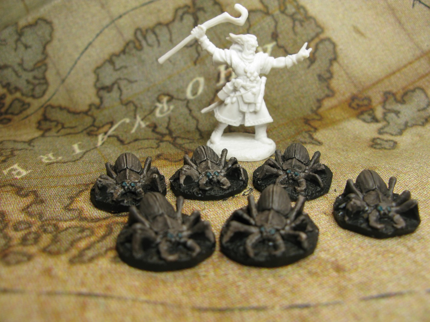 smal spiders(Large).JPG