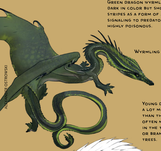 snecko.png