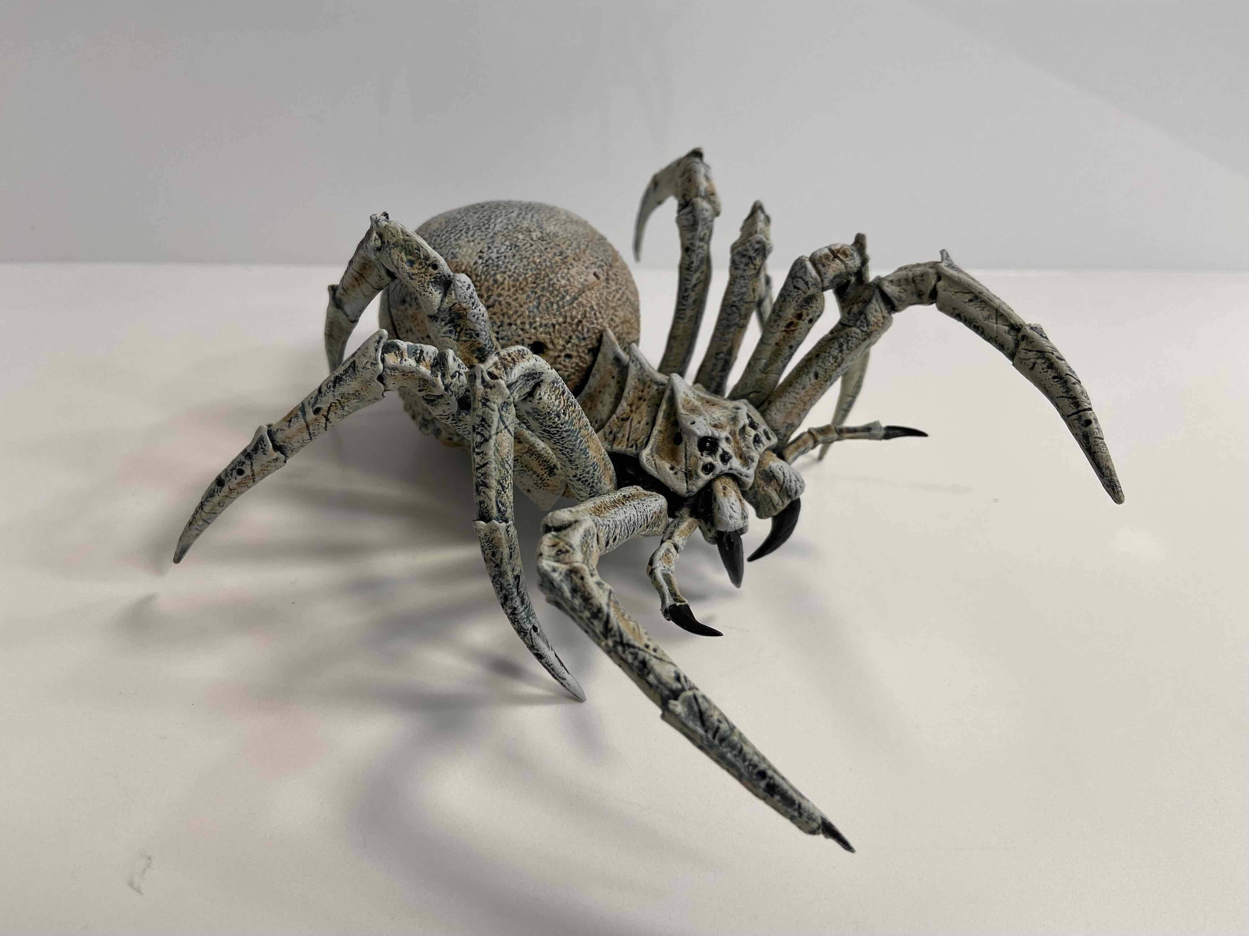 Spider.jpg
