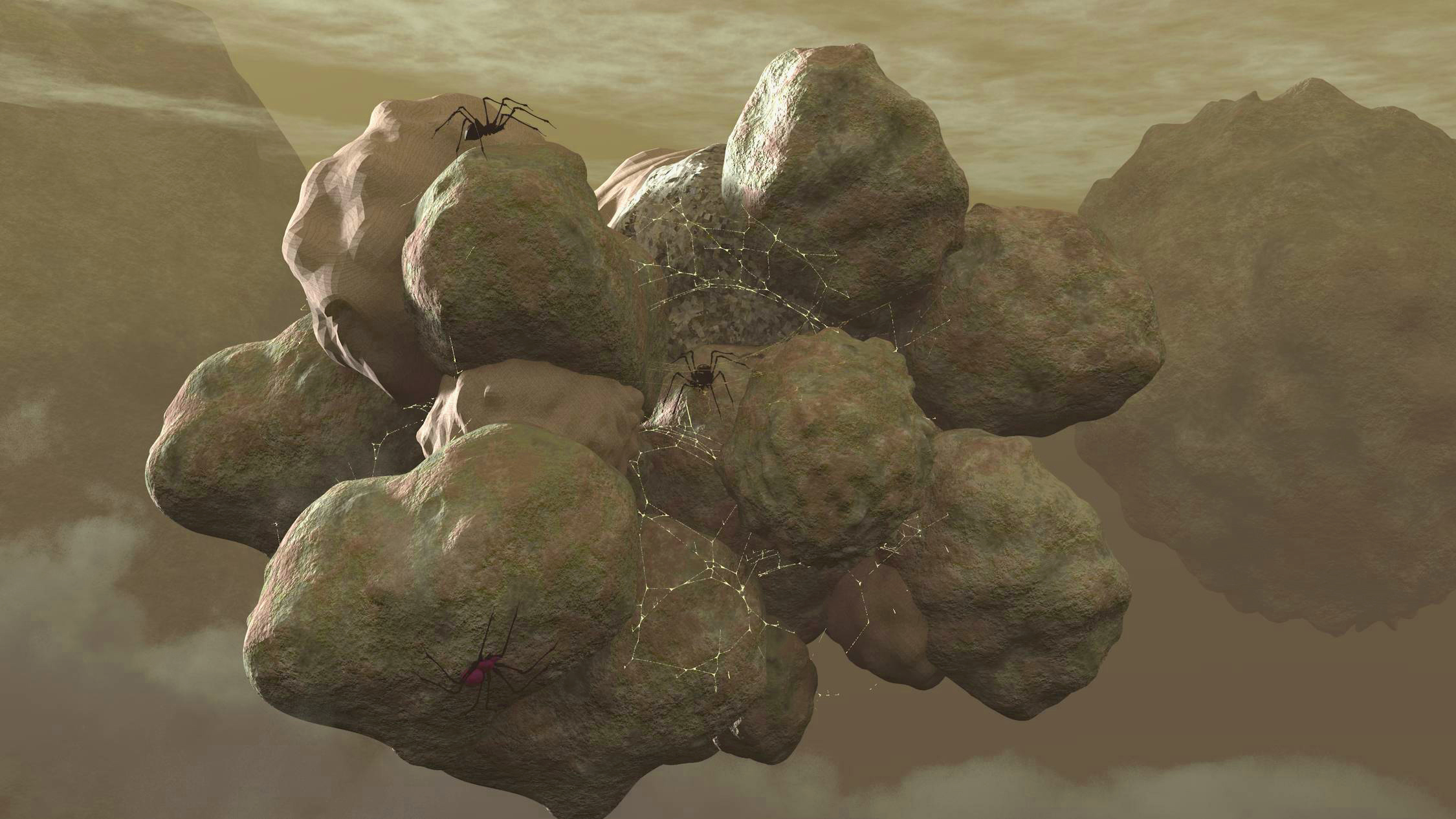 spider nest.jpg