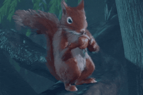 sq.gif