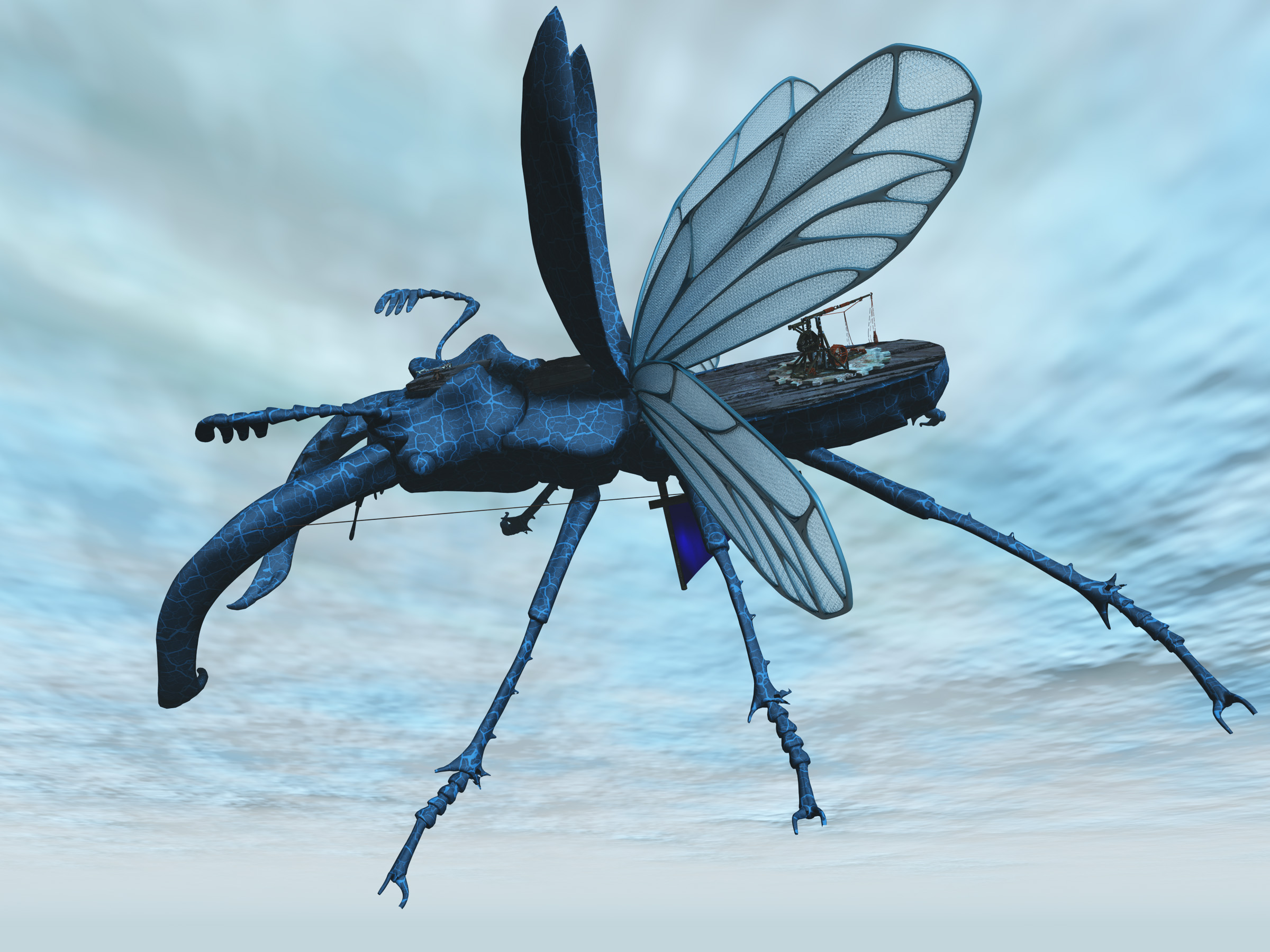stag-beetle-flyer.jpg
