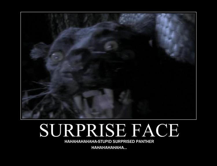stupid_surprised_panther_face_by_ljphil_d38fvs2-fullview.jpg