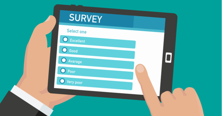 survey.jpeg