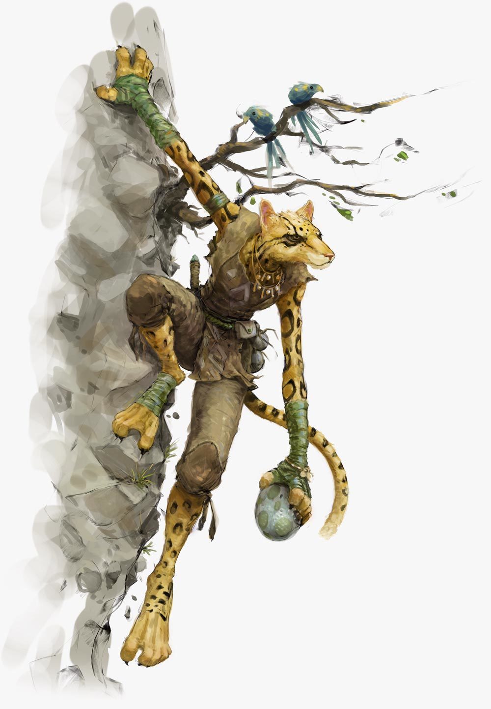 Tabaxi-5e.jpg