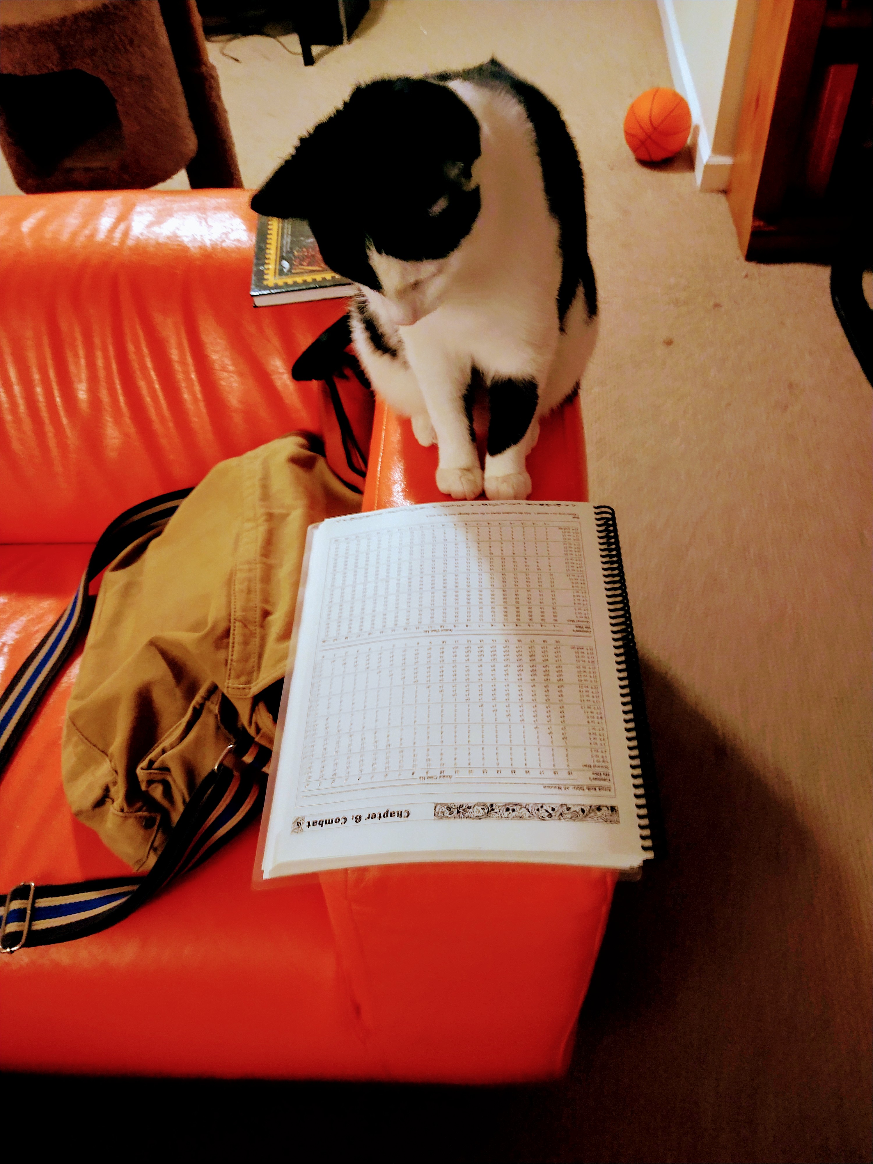 Ted and the Rulebook.jpg