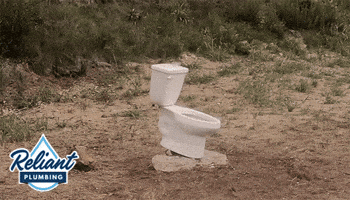 toilet-explode-unexplode.gif
